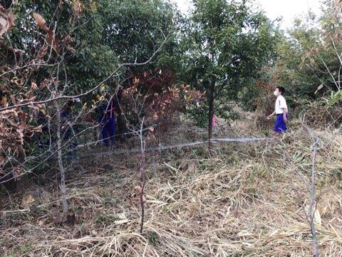 イオンの森調査学習のようす