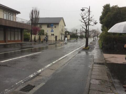 元気に登校しています