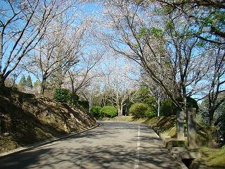 飫肥中周辺風景