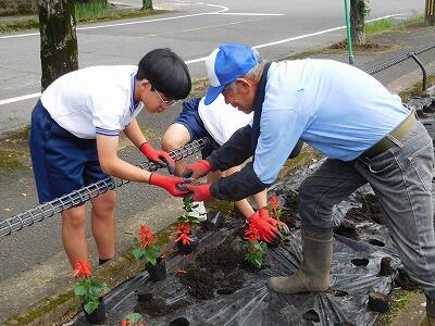 小松原地区公民館花植えボランティア