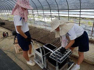 職場体験学習の様子 職場体験学習の様子