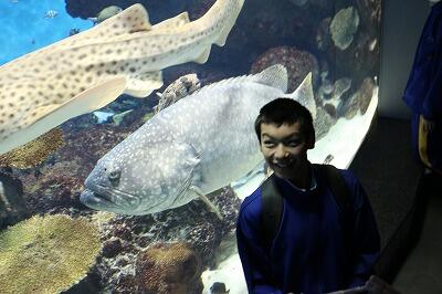 黒潮水槽の前で 黒潮水槽の前で