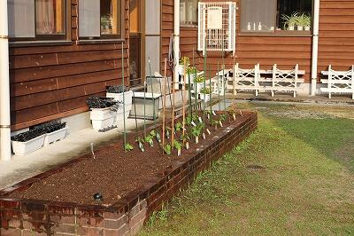 成長が楽しみ 成長が楽しみ