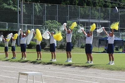 白の応援 白の応援