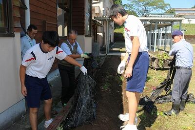 芋掘り開始です 芋掘り開始です
