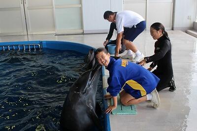 イルカとほっぺにチュー