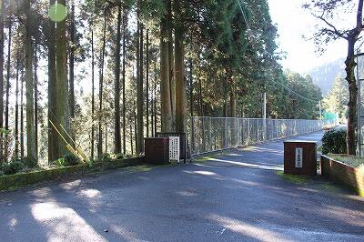 正門付近 正門付近