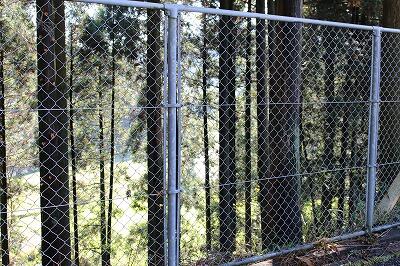 下の川が見えるようになりました