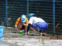 たわしでゴシゴシ