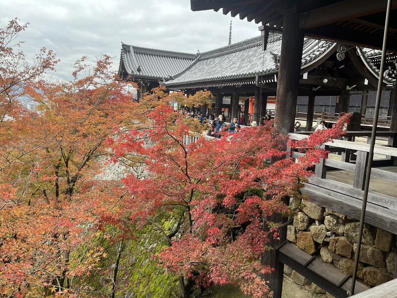 清水寺の紅葉