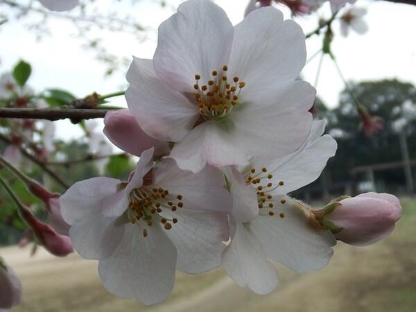 入学式_00 入学式_00