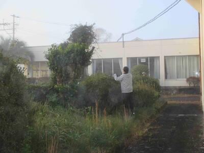 ２　樹木剪定作業