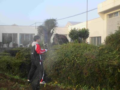 ３　樹木剪定作業