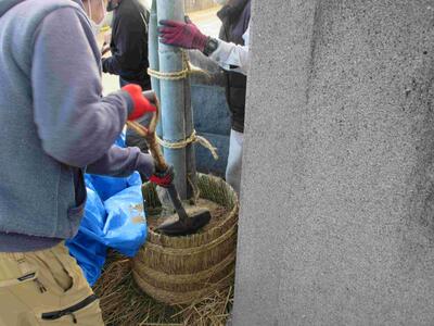 ６　門松づくり