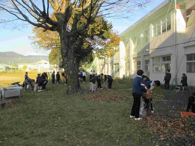 ５　３年生作業