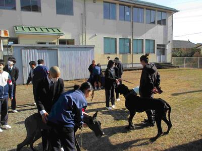 ７　犬とのふれあい②