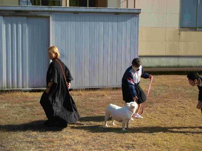 ８　犬とのふれあい③