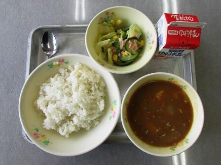 麦ごはん、ポークカレー、日向夏ドレッシングサラダ