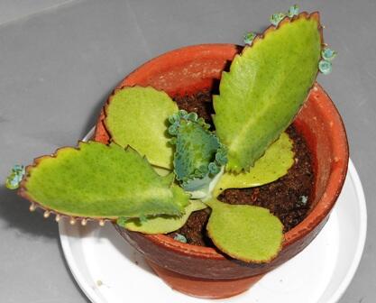 中学2年生教室 中学2年生教室