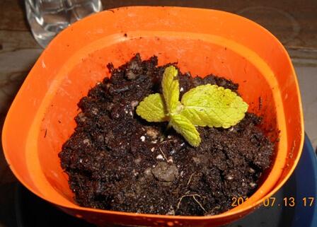 中学1年生教室 中学1年生教室