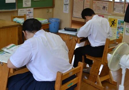 サマースクール