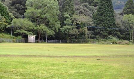 きれいになった運動場