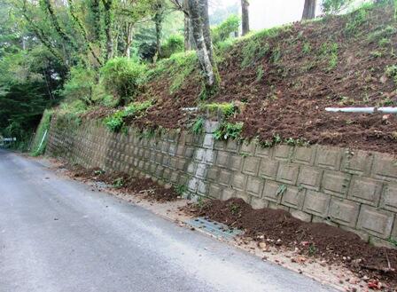 悪さをしたのはいのしし？