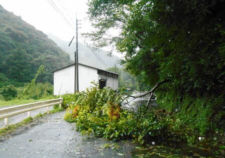 台風の傷跡