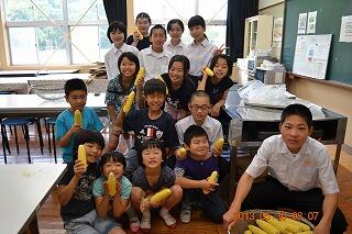 5/30 スイートコーンの皮むき