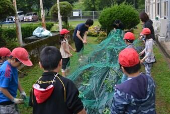 児童生徒の様子