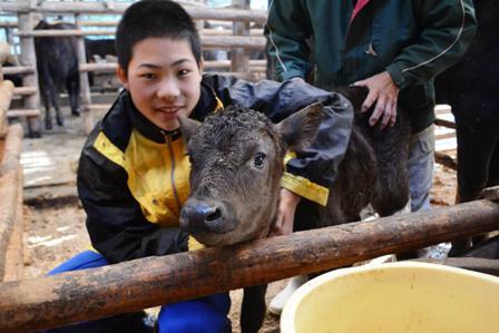 タイシュウくん　畜産