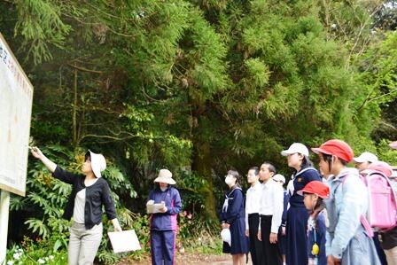 ハザードマップ