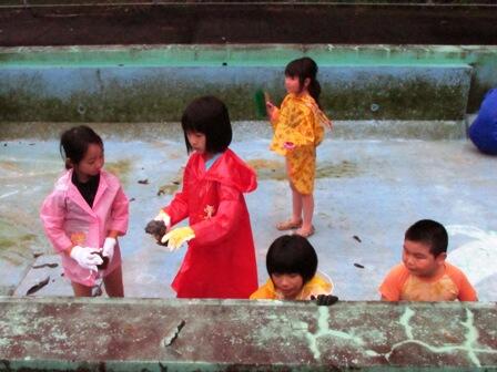 みんなでごしごし