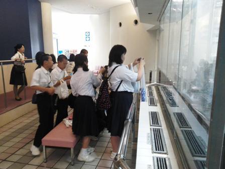 マリンワールド