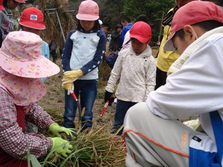 熱心に束の作り方を習っています