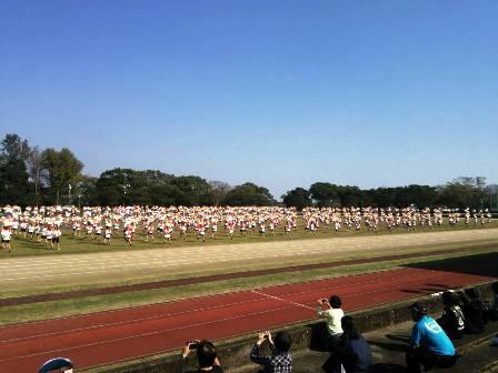 うすだいこおどり