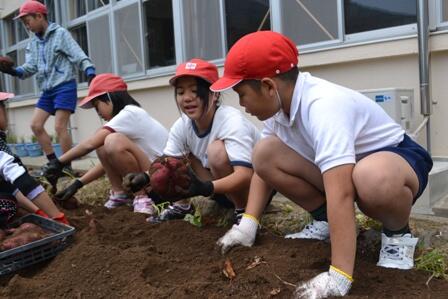 どんどん出てくるぞ!