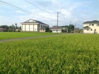 学校のまわりの風景