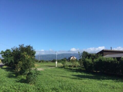 さわやかな朝です