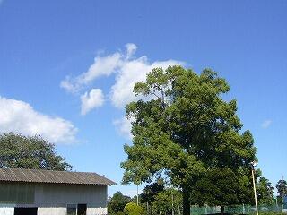 台風一過 台風一過