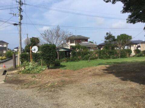 ありがとうございます