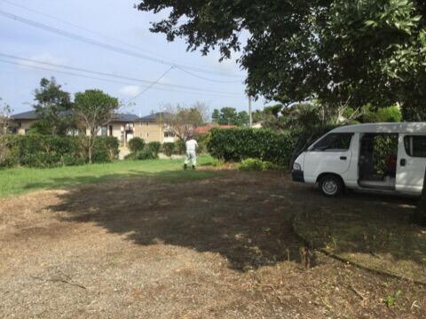 ありがとうございます