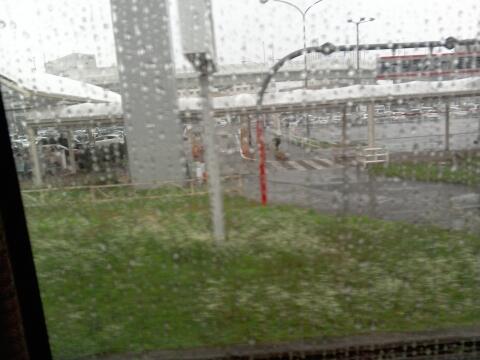 雨が降っています。