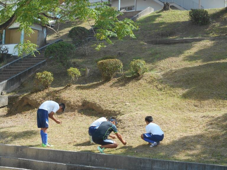 きれいになりました。