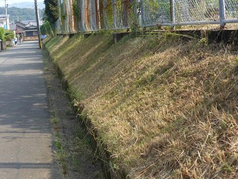 外側の斜面です。