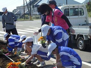 楽しく花を植えています