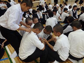 じゃれています? じゃれています?