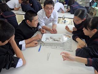 楽しそうですねぇ