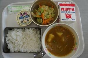 チキンカレー