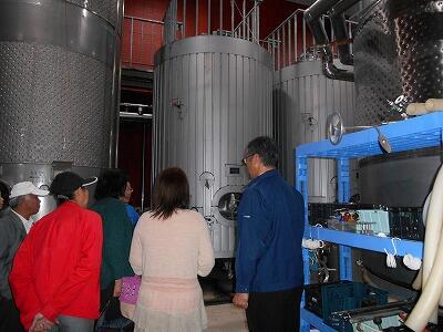 都農ワイナリー工場見学